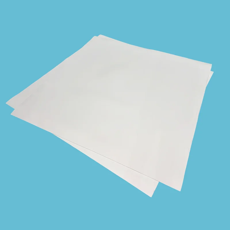 Bileog PTFE leathnaithe
